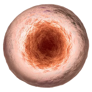 Home - photo 35 Home - photo 35